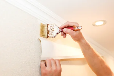 Pose de papier peint à Serves-sur-Rhône — revêtements muraux et toiles de verre